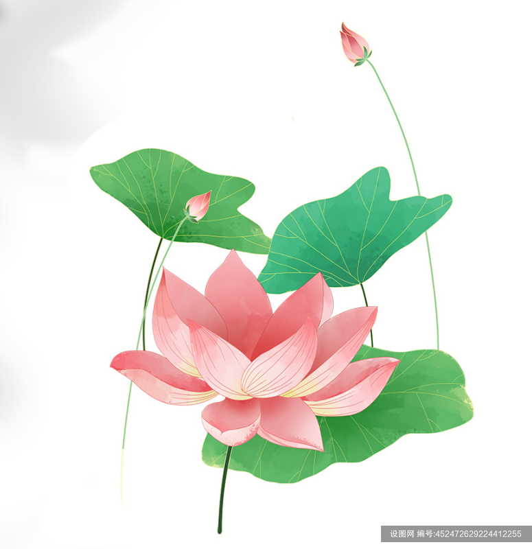清新夏日荷花夏季花卉物品元素插画psd下载_编号452472629224412255-设图网
