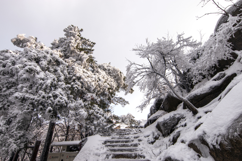 登山素材-登山模板-登山图片免费下载-设图网