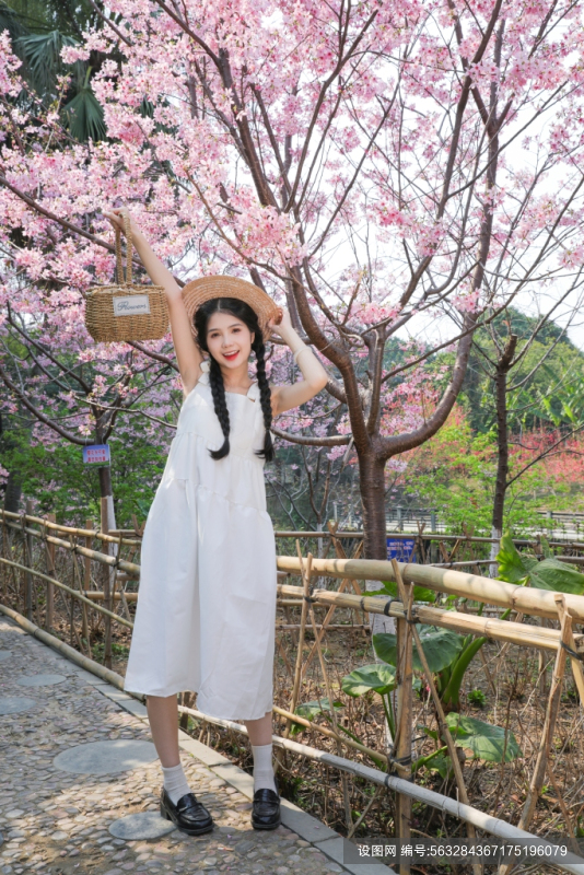 设图花篮连衣裙春日春游樱花女生人物摄影图