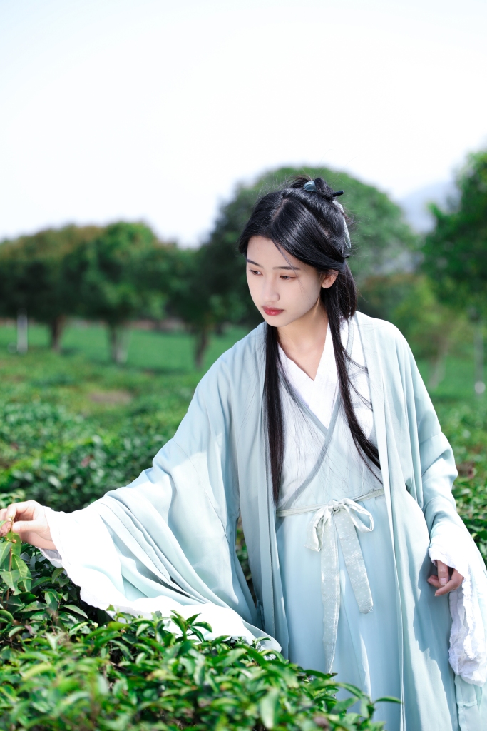 采茶少女汉服茶叶茶园人物摄影图