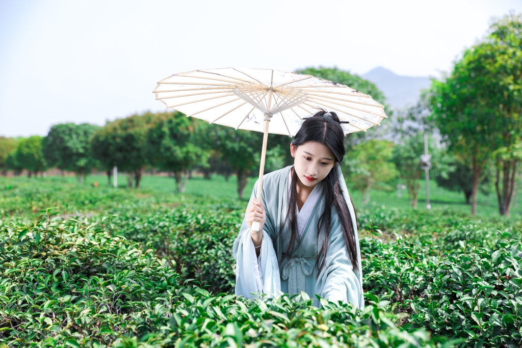 油纸伞汉服女生茶叶茶园人物摄影图