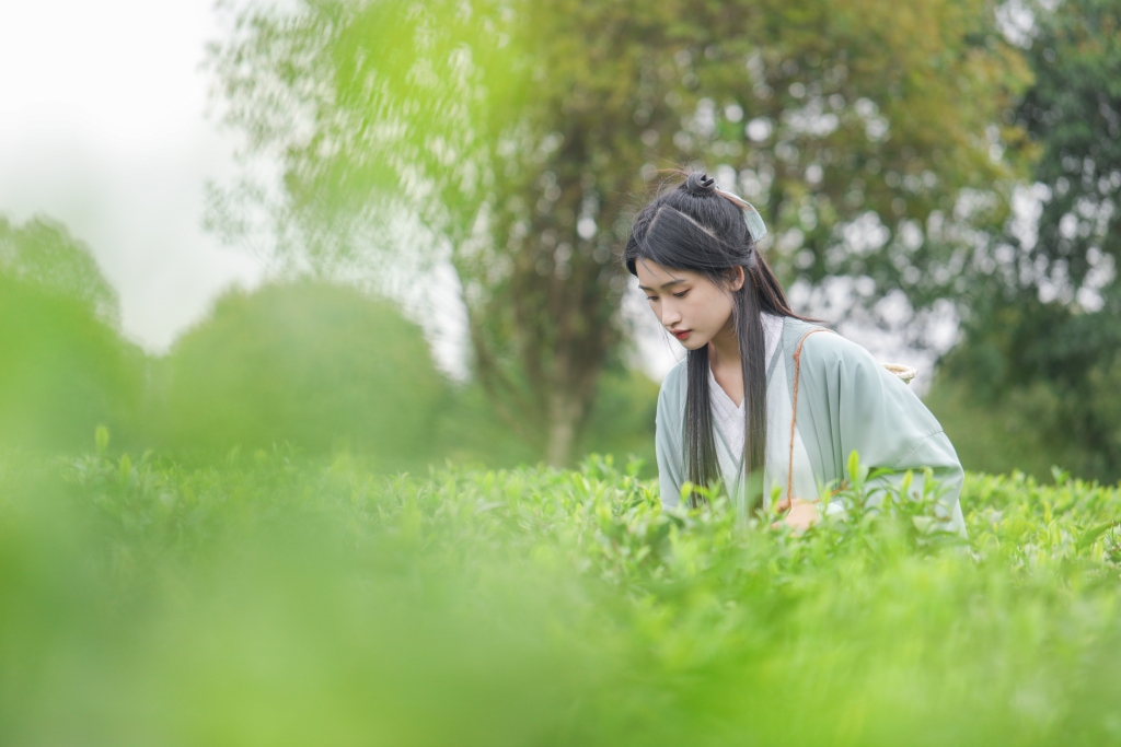 汉服女生茶叶茶园人物摄影图