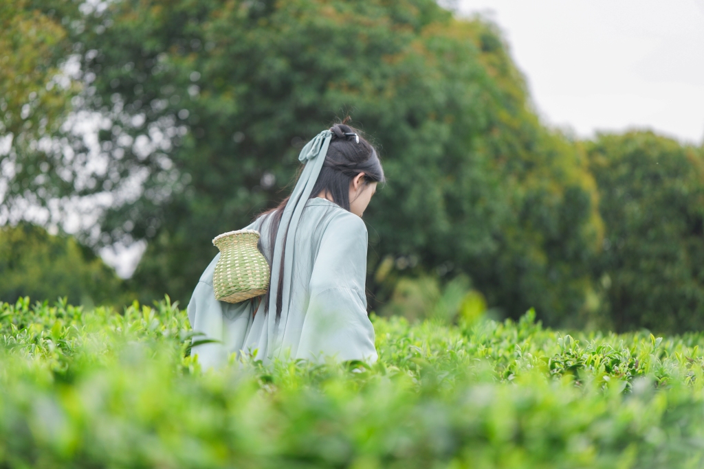 小竹篓汉服女生茶叶茶园人物摄影图