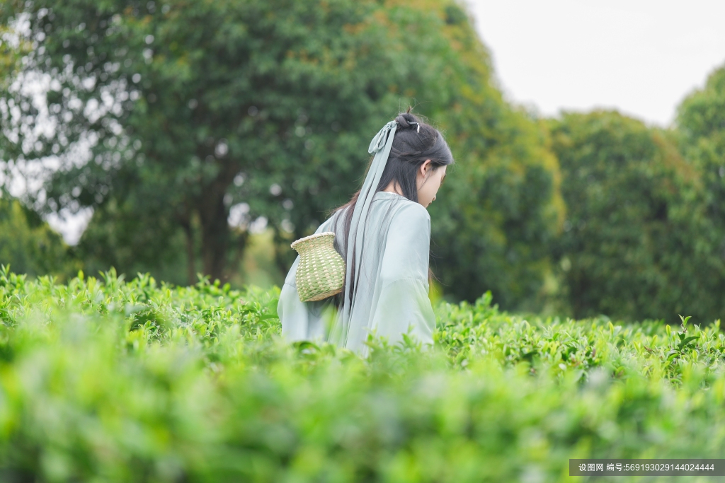 小竹篓汉服女生茶叶茶园人物摄影图