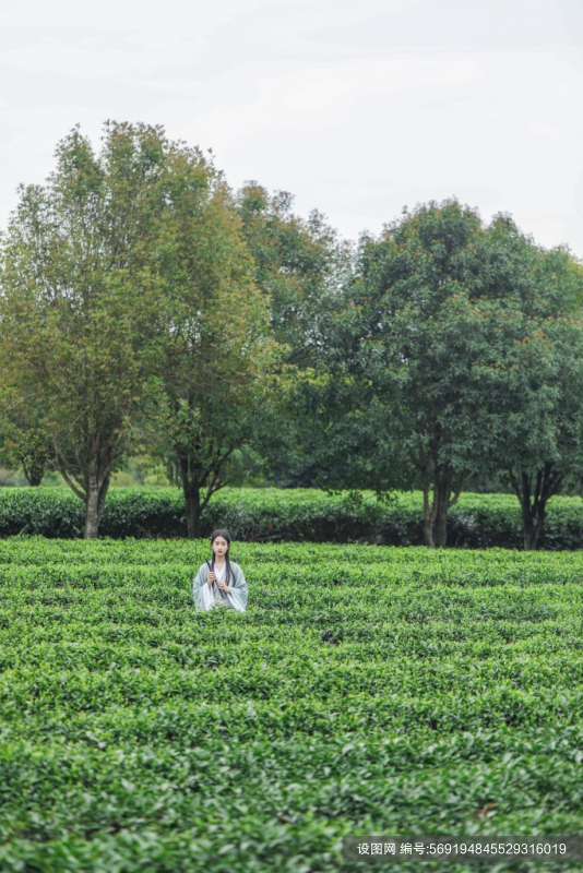 笛子远景汉服少女茶叶茶园人物摄影图