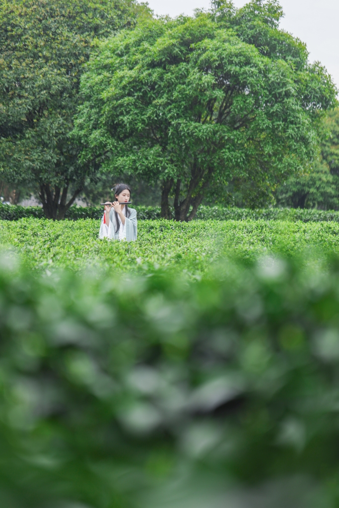 笛子远景汉服少女茶叶茶园人物摄影图