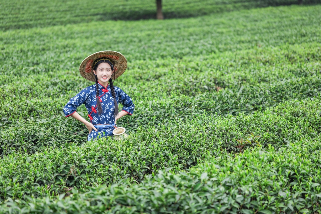 斗笠茶农茶叶茶园人物摄影图