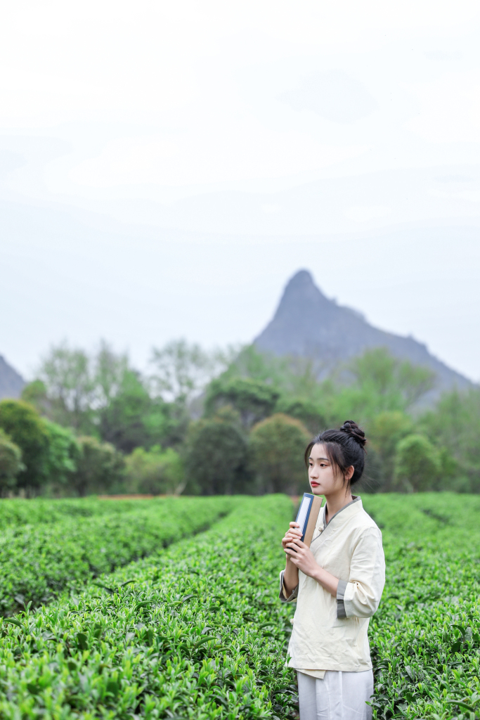 书籍新中式茶叶茶园人物摄影图