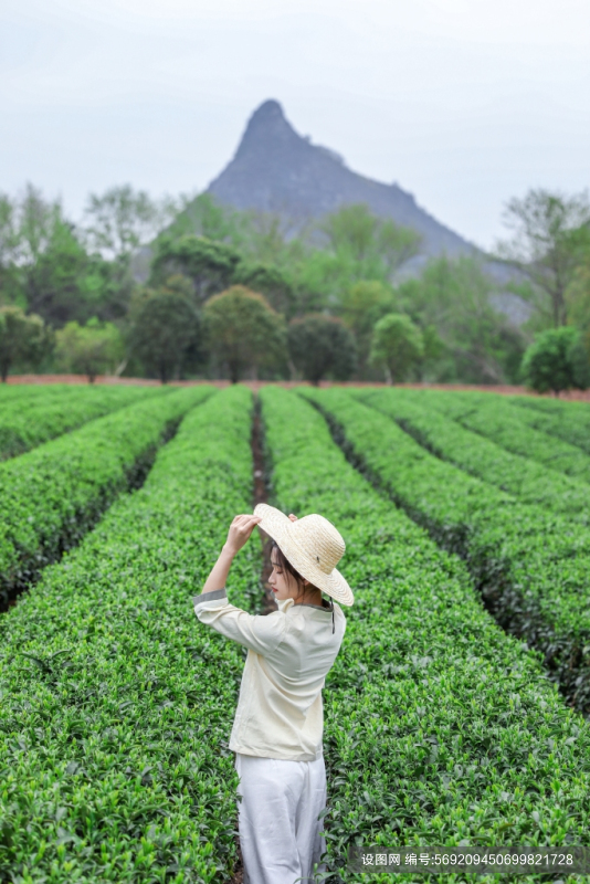 草帽新中式茶叶茶园人物摄影图