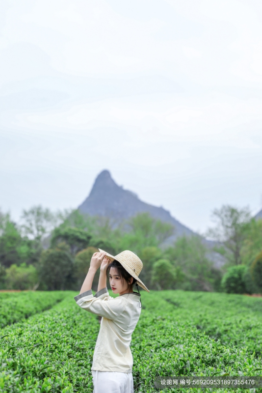 草帽新中式茶叶茶园人物摄影图