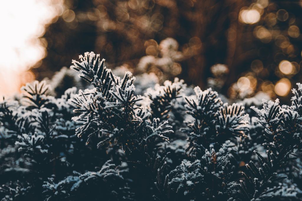 雪景高清摄影素材