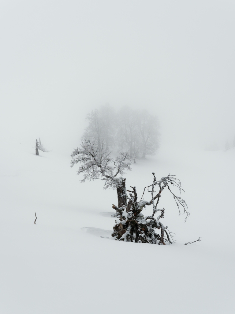 雪景高清摄影素材