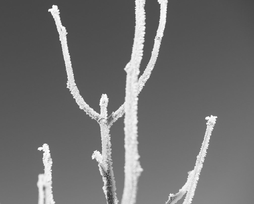 雪景高清摄影素材