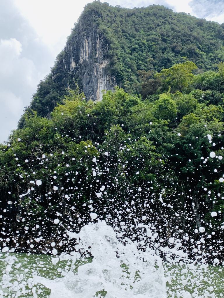 森林高清摄影素材