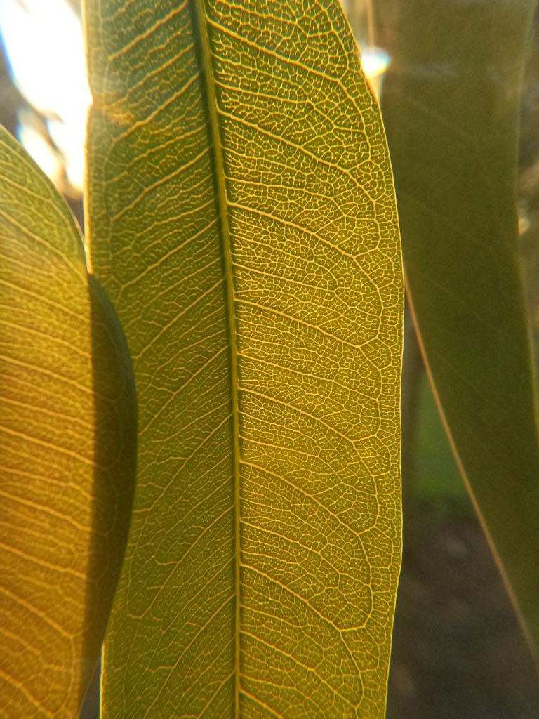 背景高清图片素材