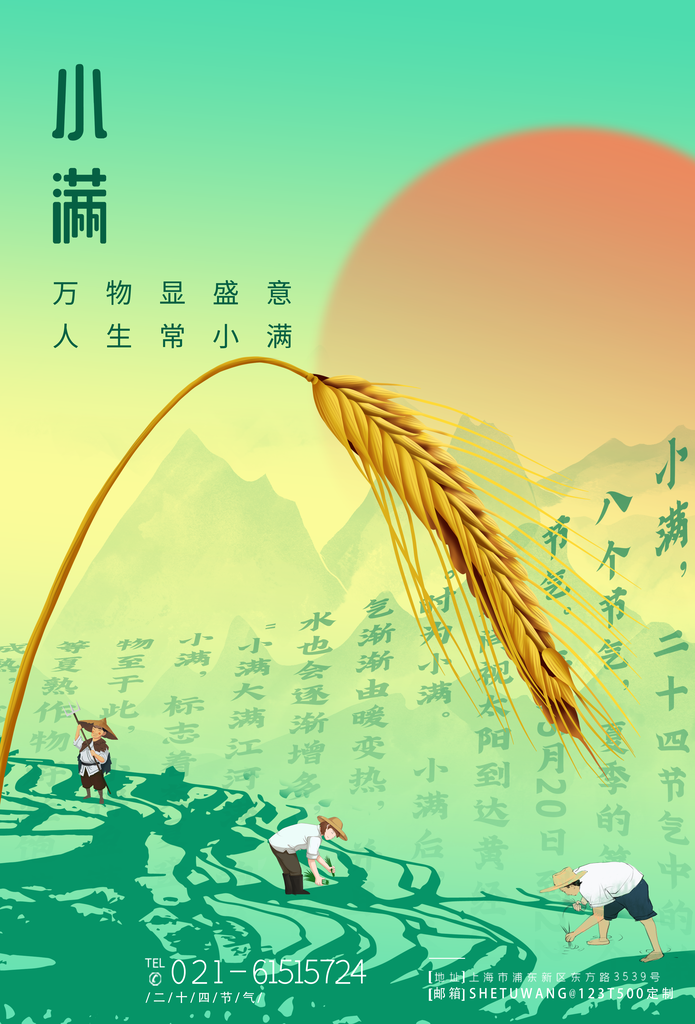 小满主题24节气夏季二十四节气小满海报