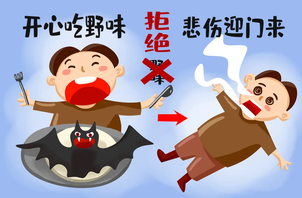 新冠病毒抗疫拒绝野味插画
