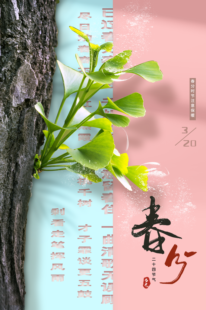 春季春分宣传二十四节气春分海报