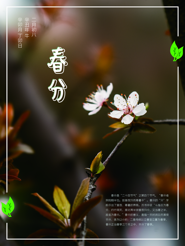 春季春分宣传二十四节气春分海报