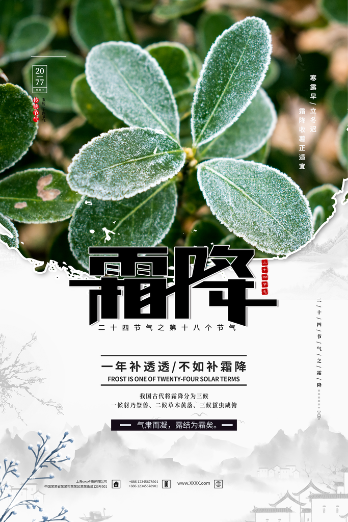 冬季绿叶二十四节气霜降海报