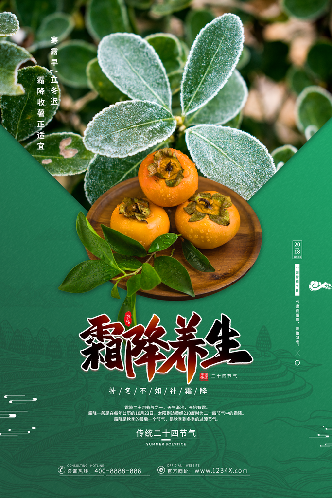 绿叶植物冬季二十四节气霜降海报