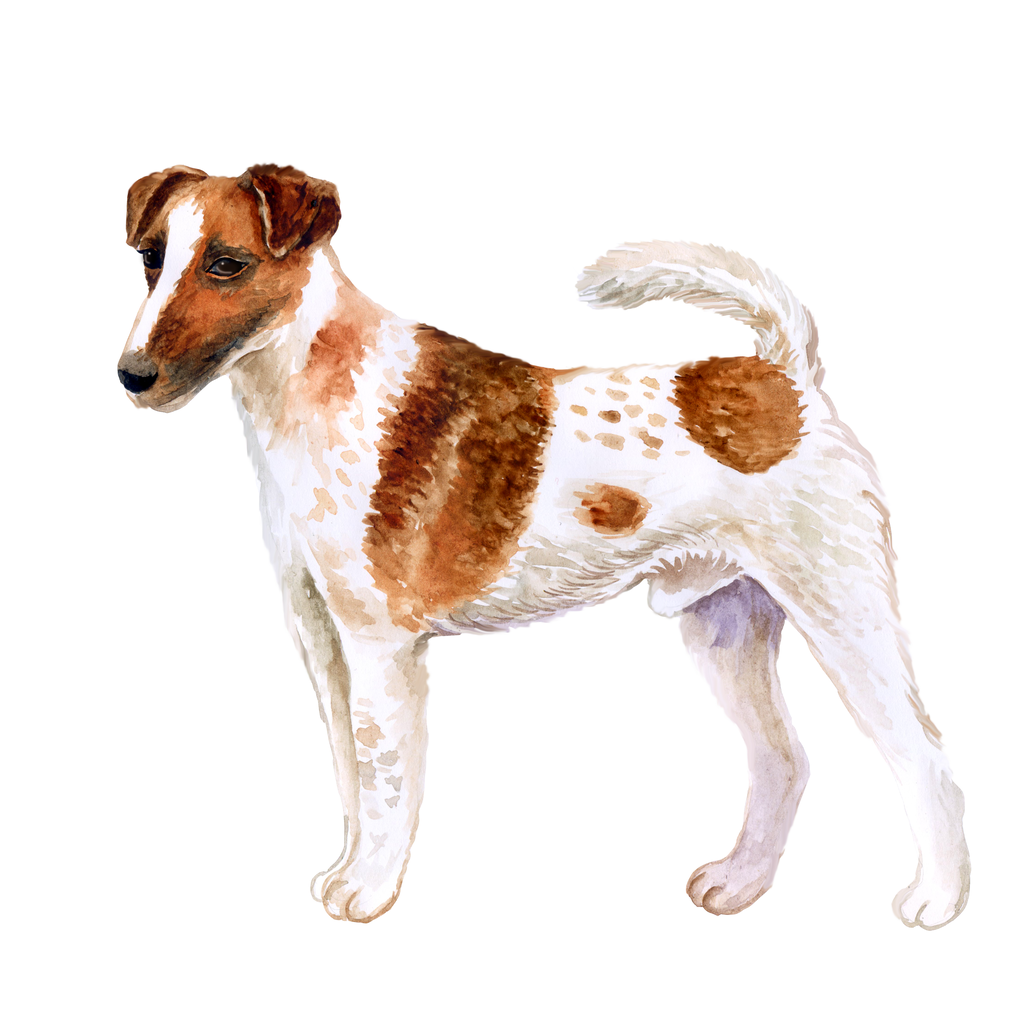 悬挂式水彩手绘狗狗素材
