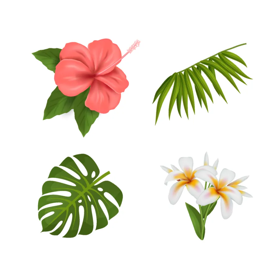 手绘植物叶子元素设计-手绘植物叶子元素图片