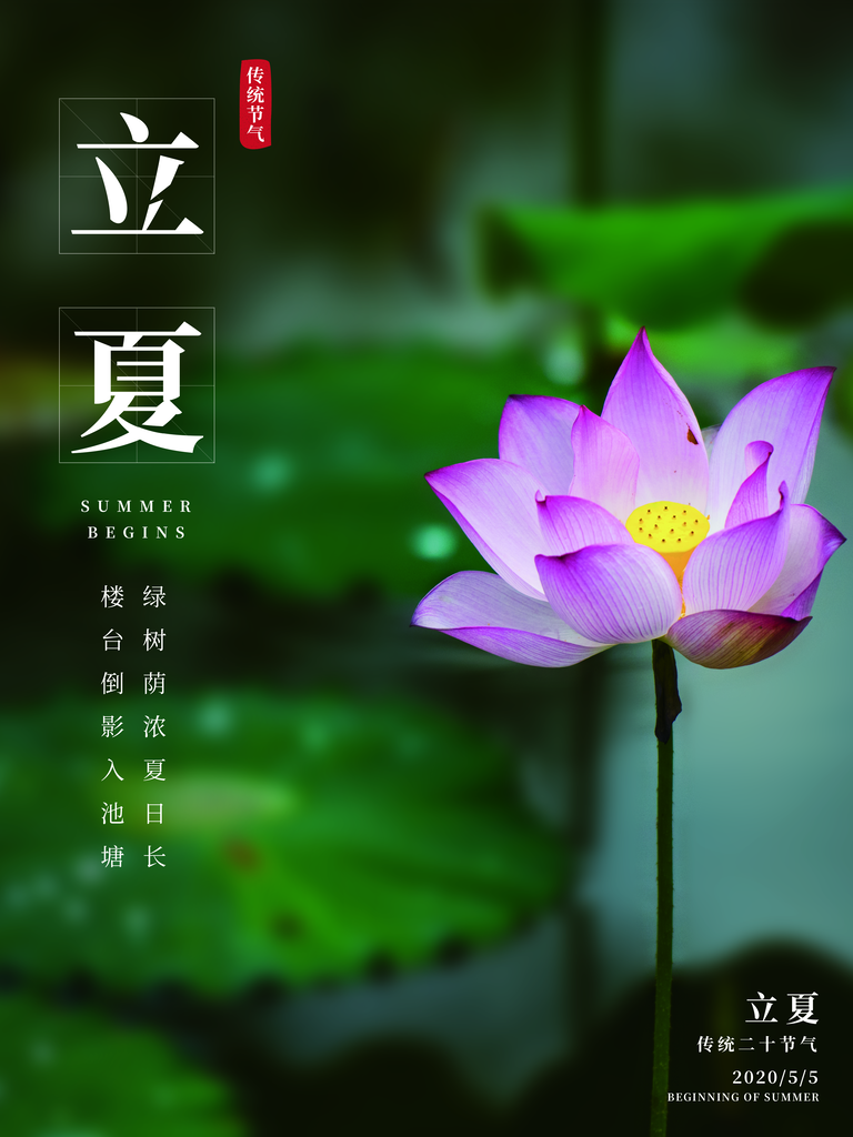 24节气传统时节立夏海报