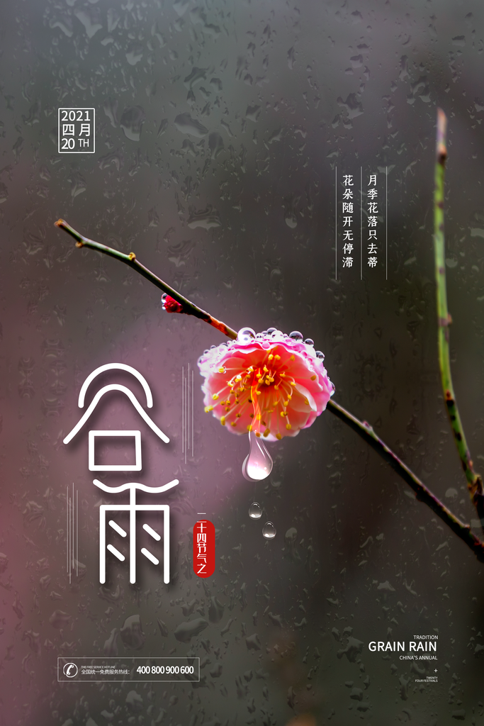 谷雨节气24节气春天春季春日海报素材