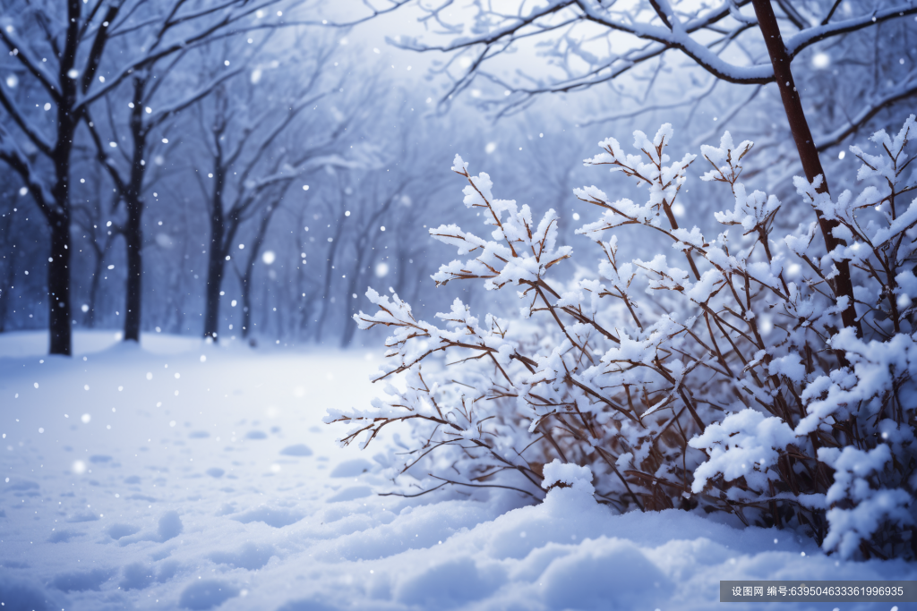 降温冬天下雪飘雪摄影图