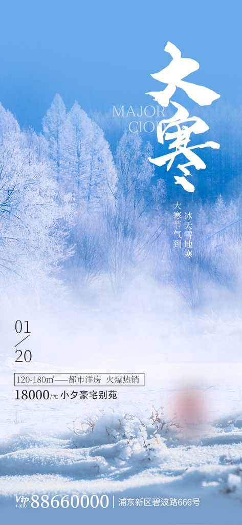 时尚大寒节气宣传海报