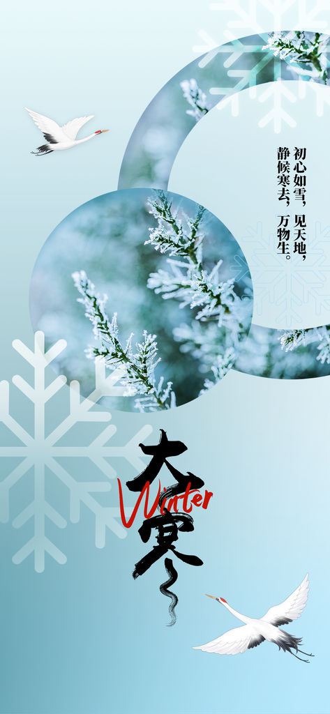 时尚大寒节气宣传海报