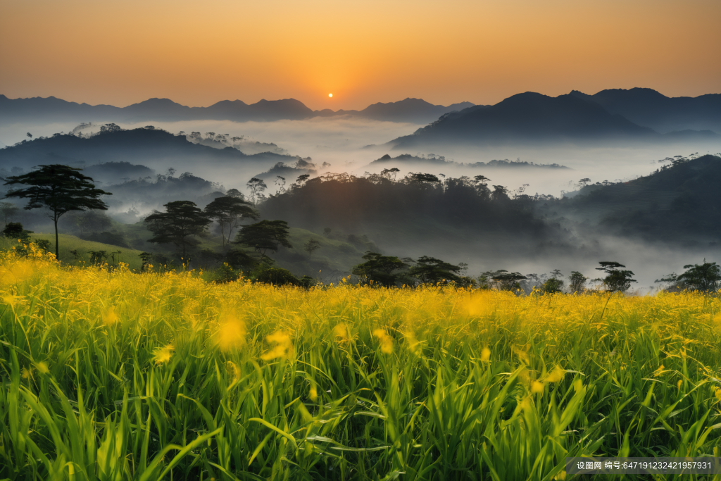 日出风光自然风景