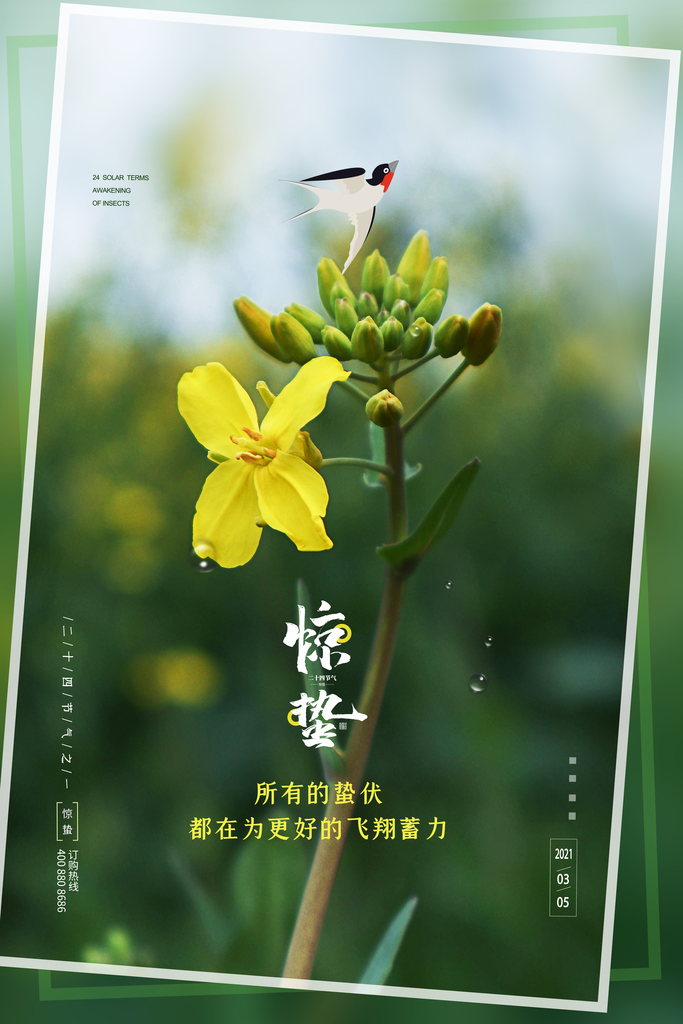 惊蛰推广宣传海报