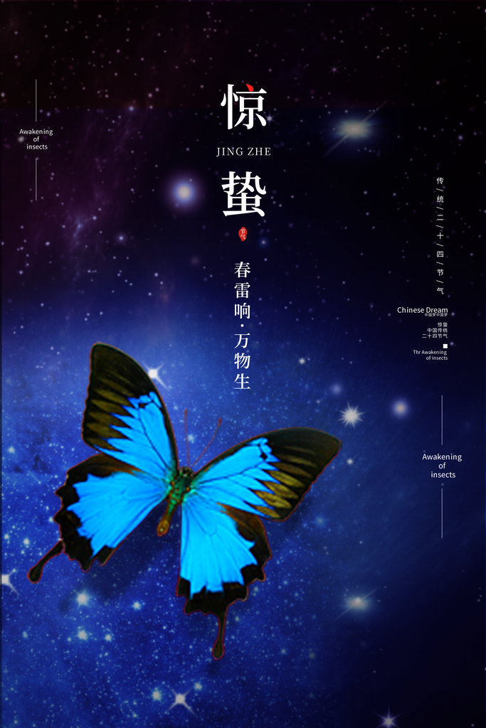 传统节日唯美中国风花鸟惊蛰海报