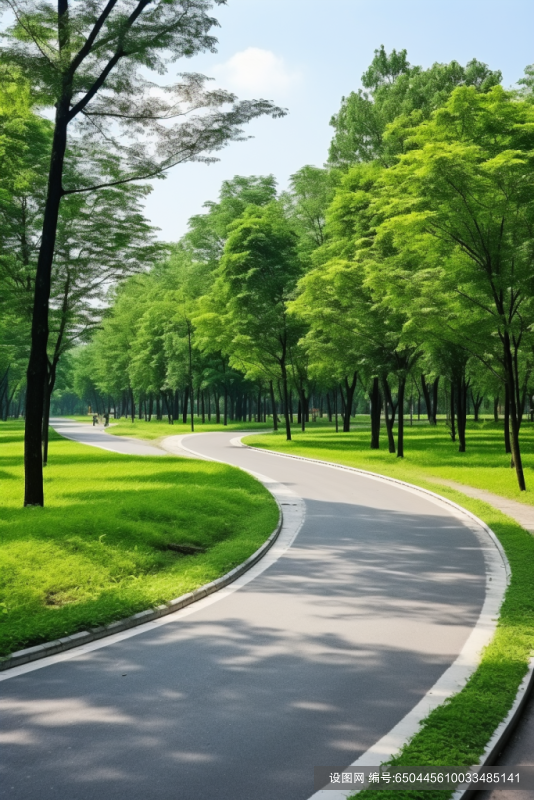 公园林间小道散步小路跑道图片摄影图png下载_编号650445610033485141-设图网