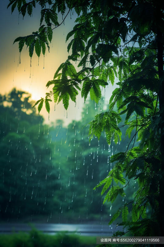 暴雨大雨雨水环境雨季天气图片摄影图