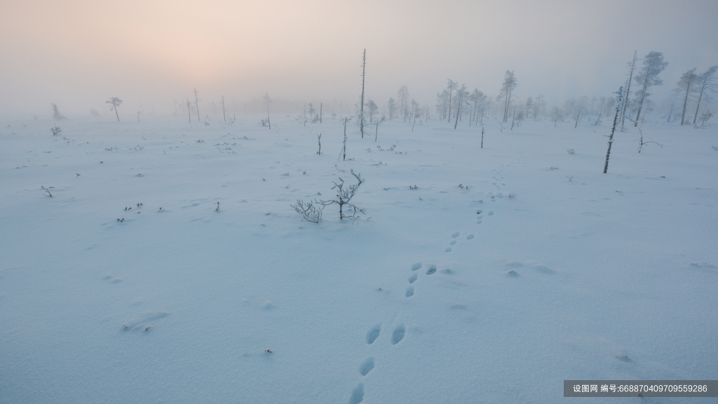 雪景自然风景高清图片