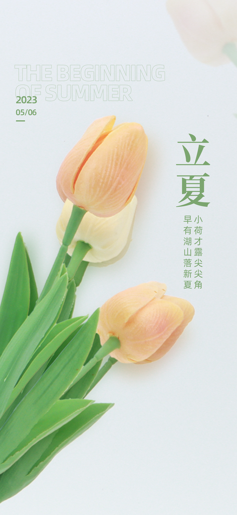 二十四节气立夏海报