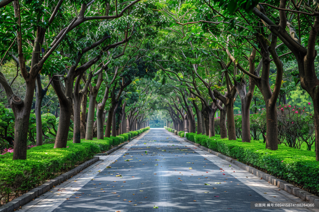 景区森林公路自然风景图片