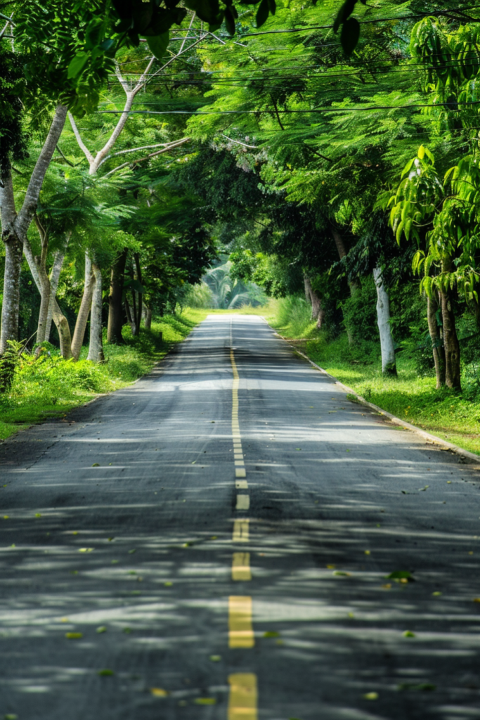 森林公路马路道路沥青路图片