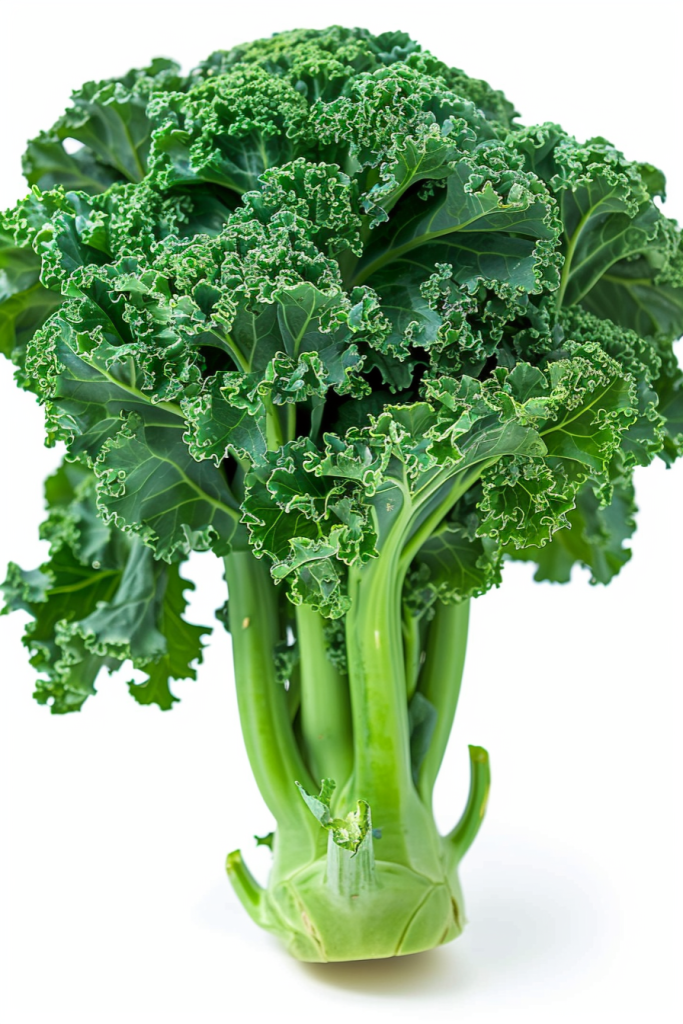西兰花绿色蔬菜植物摄影图