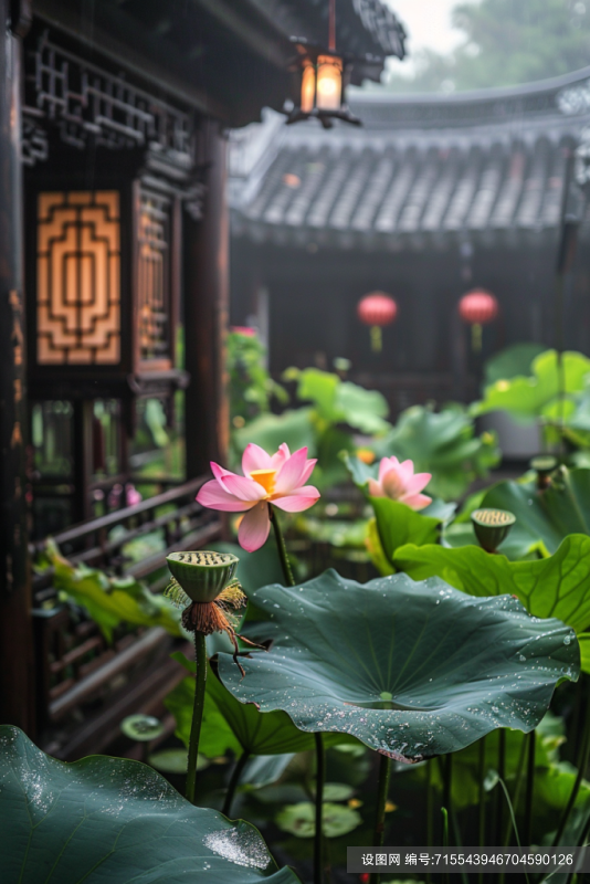 雅致的中国风荷花禅意布置png下载_编号715543946704590126-设图网