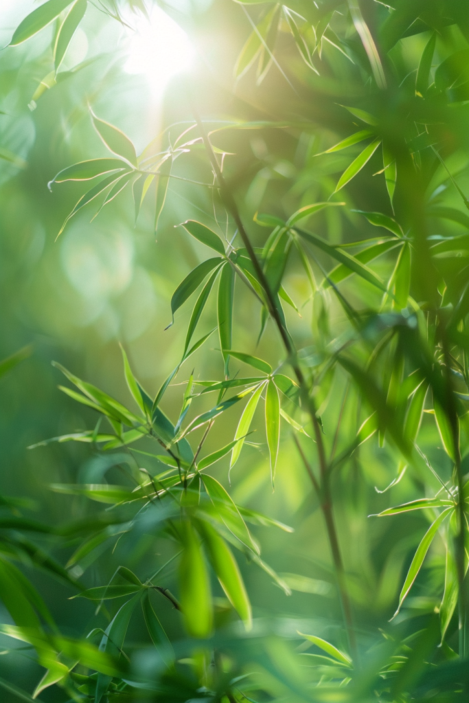 青绿竹叶二十四节气大暑摄影图