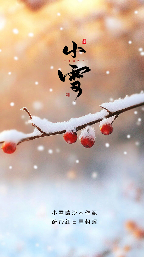 小雪节日冬季简约唯美大气节气海报