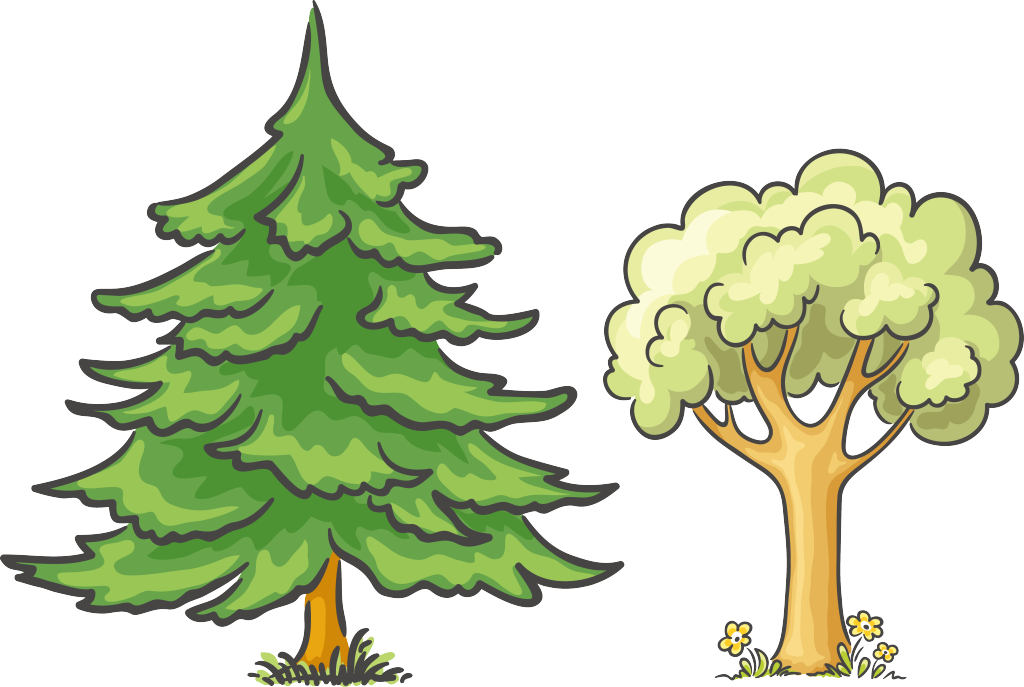 手绘雪松松树PNG免抠素材