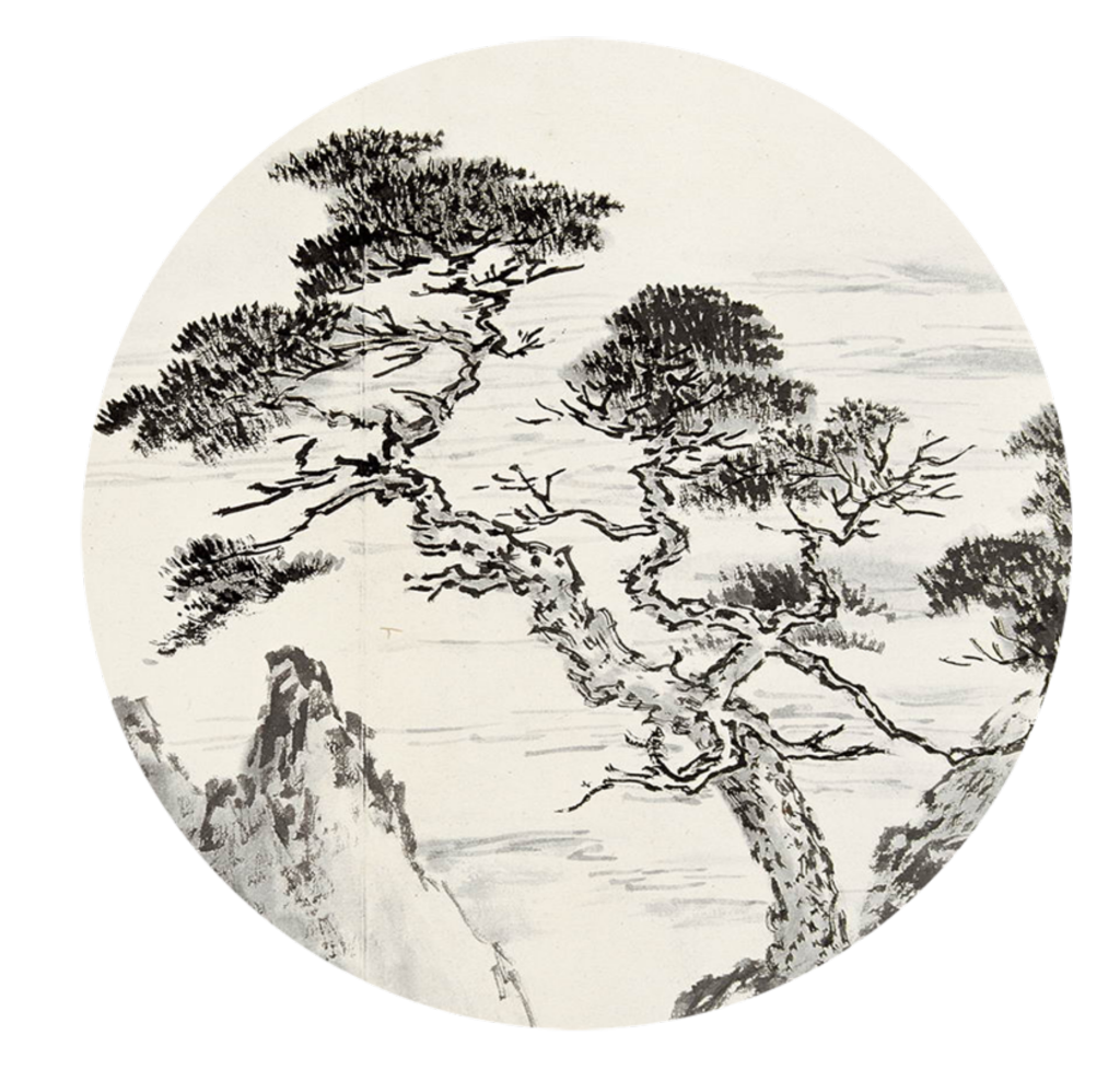 中国风水墨松树松枝