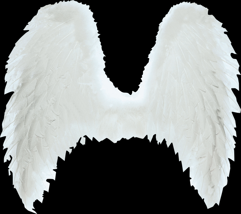 翅膀免扣元素设计图