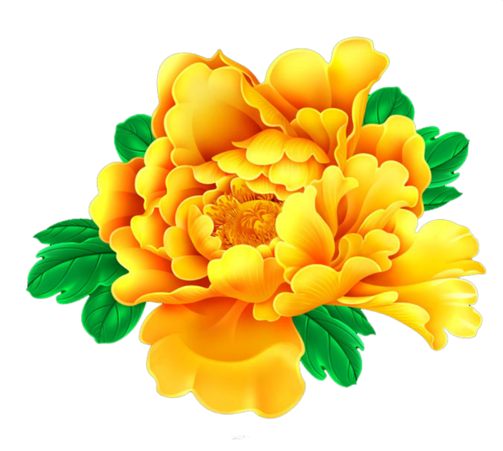 国风牡丹牡丹花元素花卉免抠素材