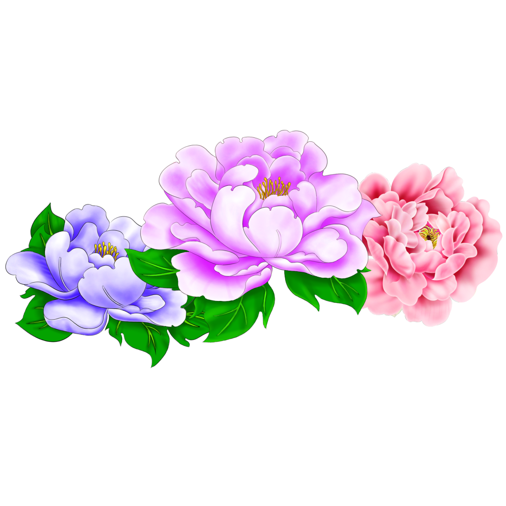 国风牡丹牡丹花元素花卉免抠素材